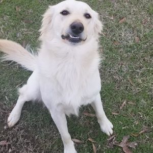 Meet your Posher, Rontavius